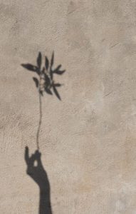 Shadow of hand and flower on natural textured wall