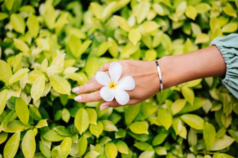woman holding a jasmine flower in her hand